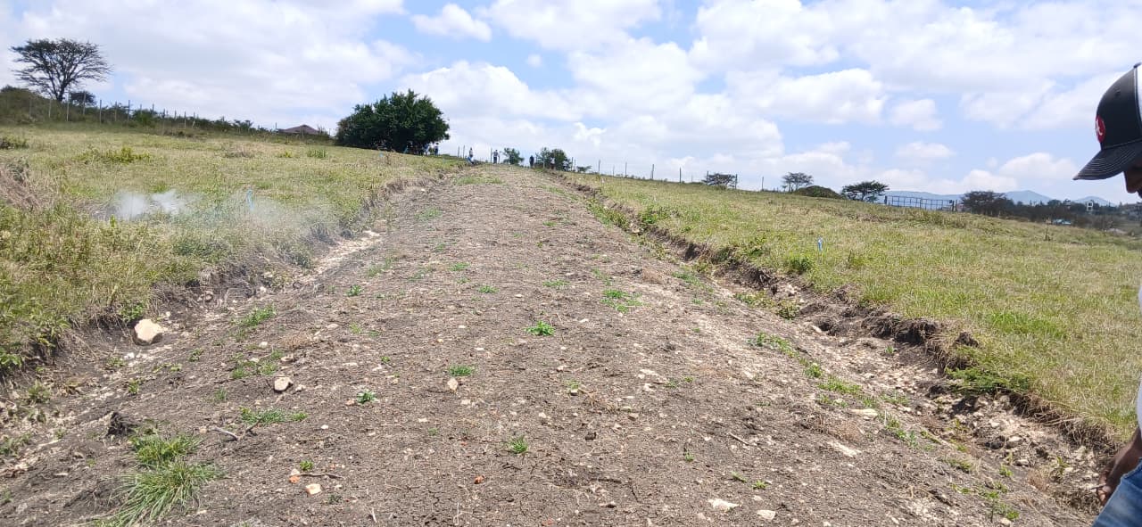 Fenced perimeter and access gate to the project