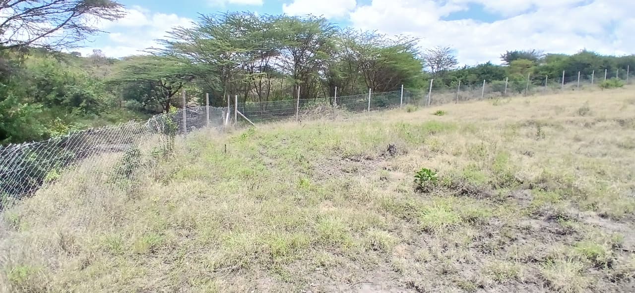 Internal road network and access within the project