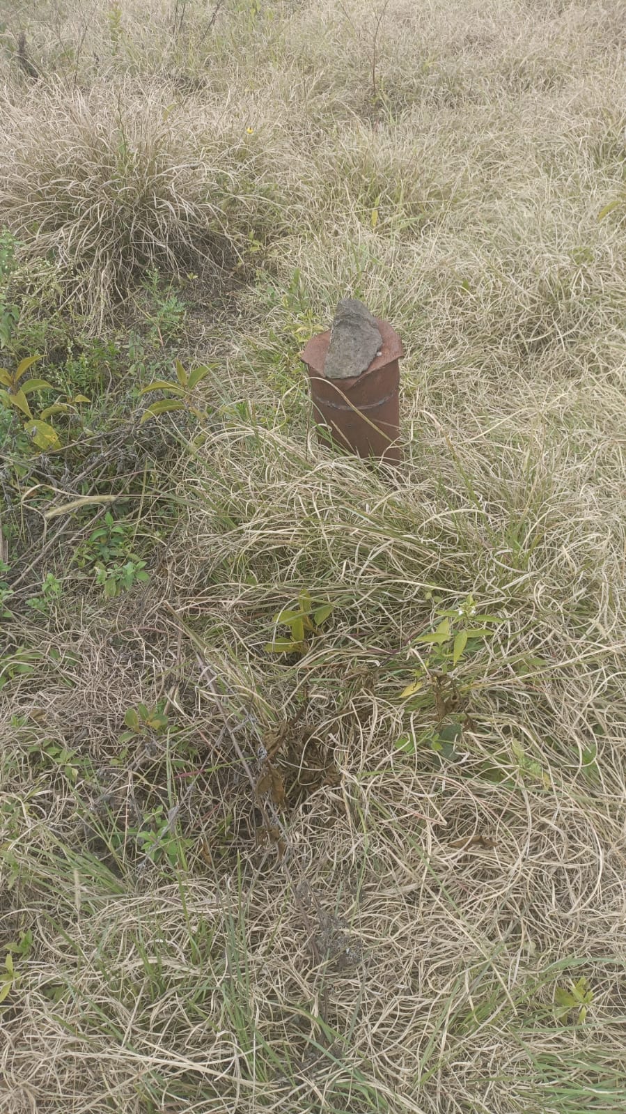 A small image to show beacons